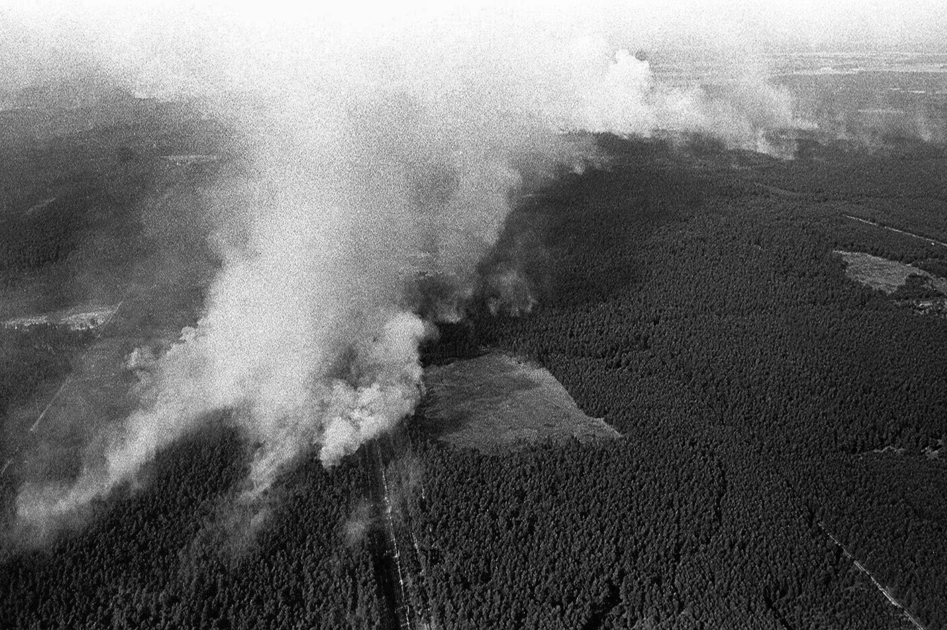 29 lat po pożarze lasów w Kuźni Raciborskiej 